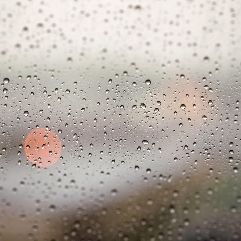 Meet your Posher, Bridget